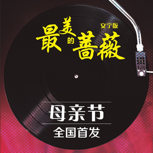 最美的蔷薇 (安宁版)