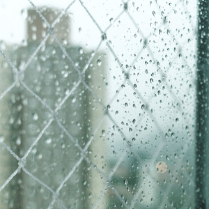 Echo Rains