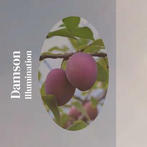 Damson Illumination