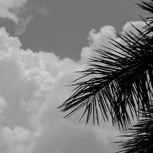 不是因为寂寞才想你