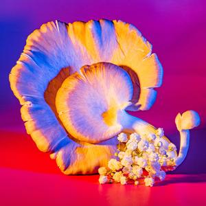 Miles Of The Sea Deep Trance