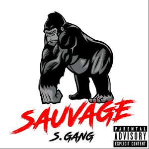 Bet Sauvage