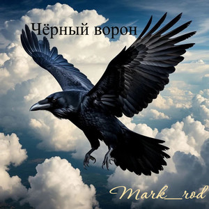 Чёрный ворон