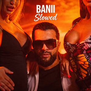 Banii (Slowed)