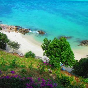 梦想的旅途 (21)