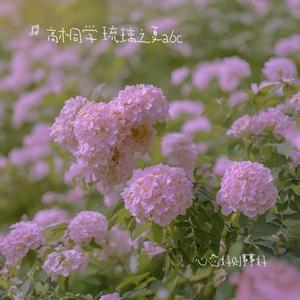 邂逅月亮做的舟