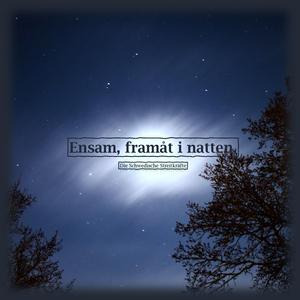 Ensam, framåt i natten.