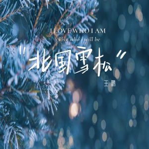 北国雪松