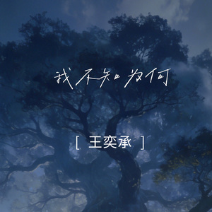 我不知为何