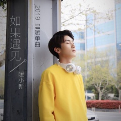 如果遇见 (DJ安瑾Remix)