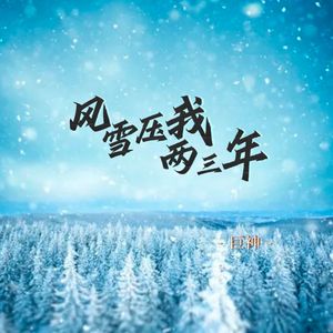 风雪压我两三年