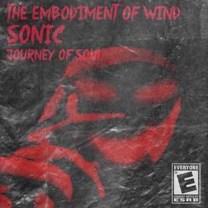 HALLUCINATION(outro)