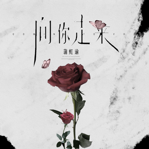 向你走来