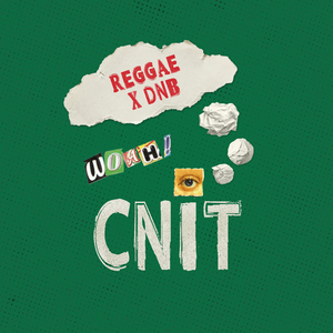 Woah! (Reggae x DNB)