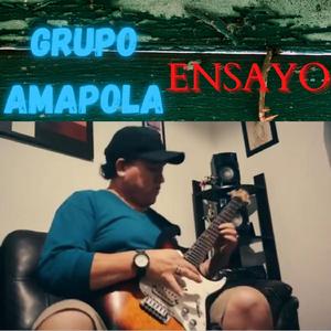 Ensayo (En Casa)