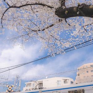 越来越不懂（bgm版）