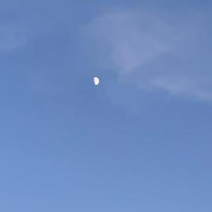 i will luv u the same