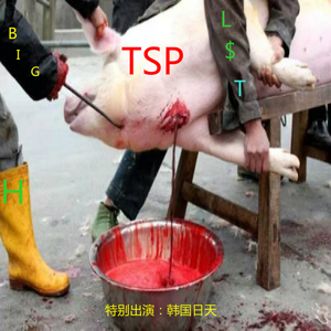 土/马儿(TSP DISS)