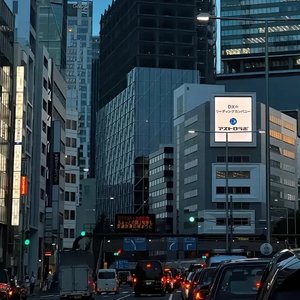 被现实打压的我