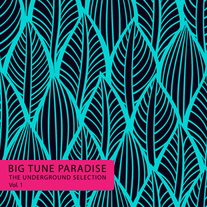 Intrusion (Patrick P. Remix)