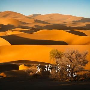 身不由己 (Cover 丁当)