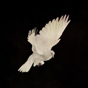 THE SKY IS THE LIMIT