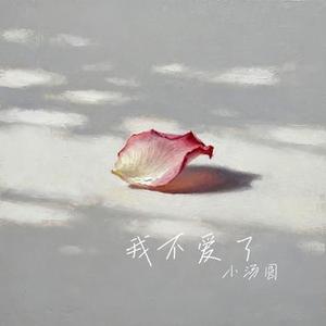 我不爱了 (Cover 胖球鱼 & 龚泽艺)