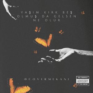 Yaşım Kırk Beş Olmuş Da Gelsen Ne Olur