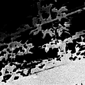 blood stain (feat. loveUnity)