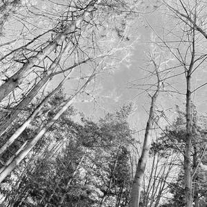 AFTERALLYOU'REWANTED