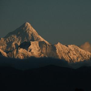 Bunny girl (バニーガール)