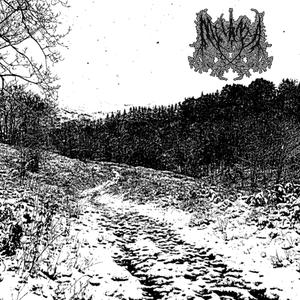 A Battle I Will Not Win