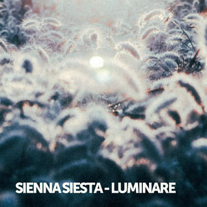 Luminare