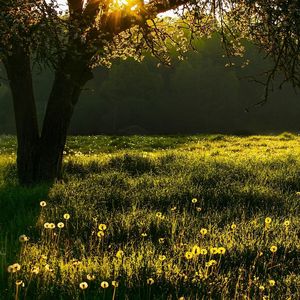 【FREE】“如沐春风”梦幻Gunna Type Beat