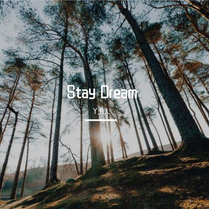 Stay Dream
