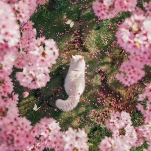 世界盛大终会重逢