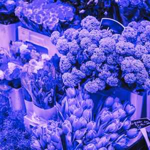 柔和的梦想时刻