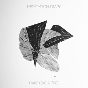 Meditation for Thursday n.71