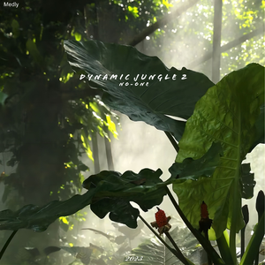 Dynamic Jungle 2