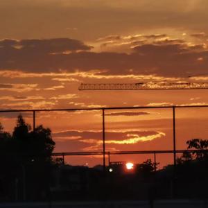 艾米莉（温柔版）