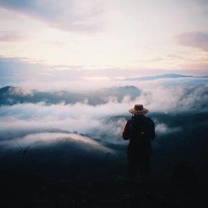 Traveller