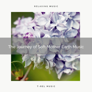 Experience Sleep with Peaceful Nature Tunes for Dreams pt. 1