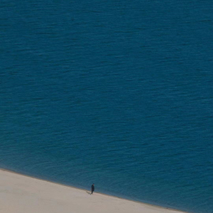 根本你不懂得爱我 (胖猫再见)