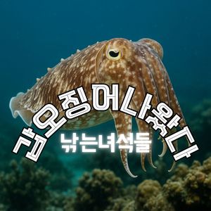 갑오징어 나왔다