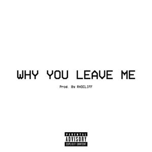 Why You Leave Me