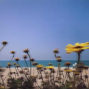 Slow Me Down (feat. Jordan Webb & Brian Brown)