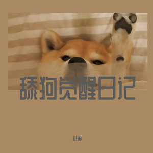 舔狗觉醒日记