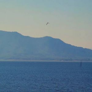 我的世界里平凡的一天