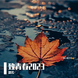 致青春(长沙南职版) 伴奏版