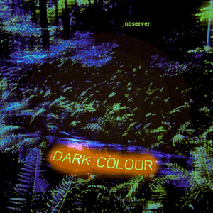 Observer
